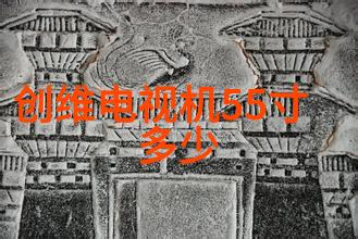 老电器的心跳声揭秘如何拯救落后的TV机型