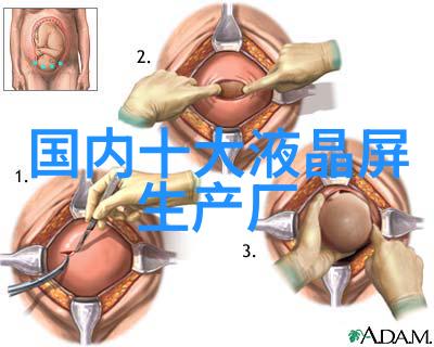 毛坯房装修基本流程我的装修日记