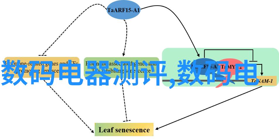 摄影技巧大全掌握摄影基本知识摄影技巧的基本知识大全