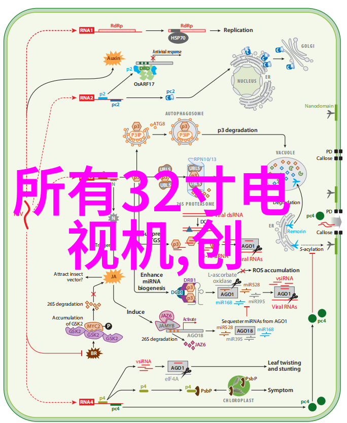 家居装饰新趋势追求个性化与时尚感的今朝风格