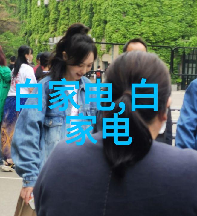 申请费用的报告撰写技巧详解如何高效地准备和提交费用报销申请