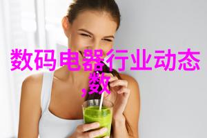 隐形门式衣柜