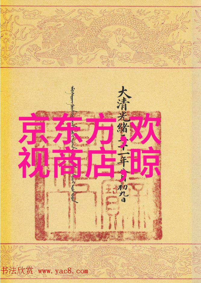 领航中国半导体深度剖析中国芯片十大龙头企业的竞争力与创新路径