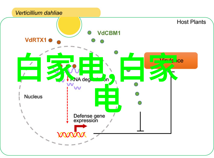 男孩驾驶的车辆追逐探索rh男男车车视频软件中的速度与激情