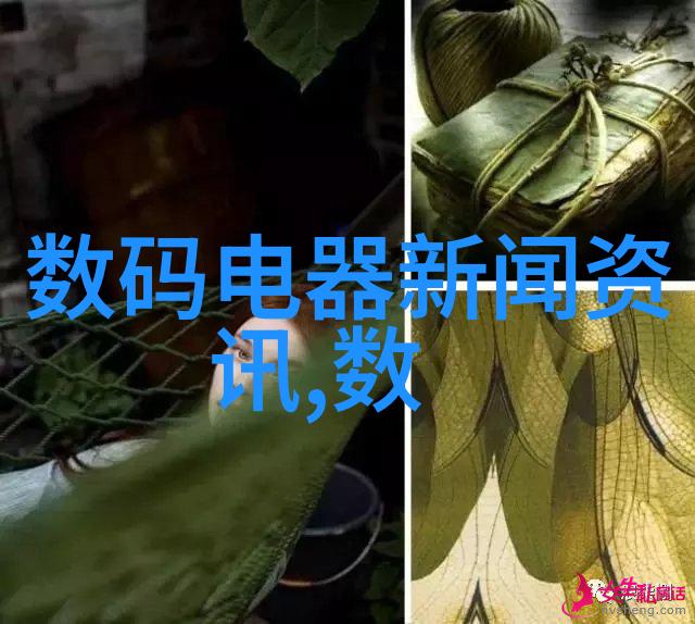 最终检查与验收工作确保每个细节都完美无瑕