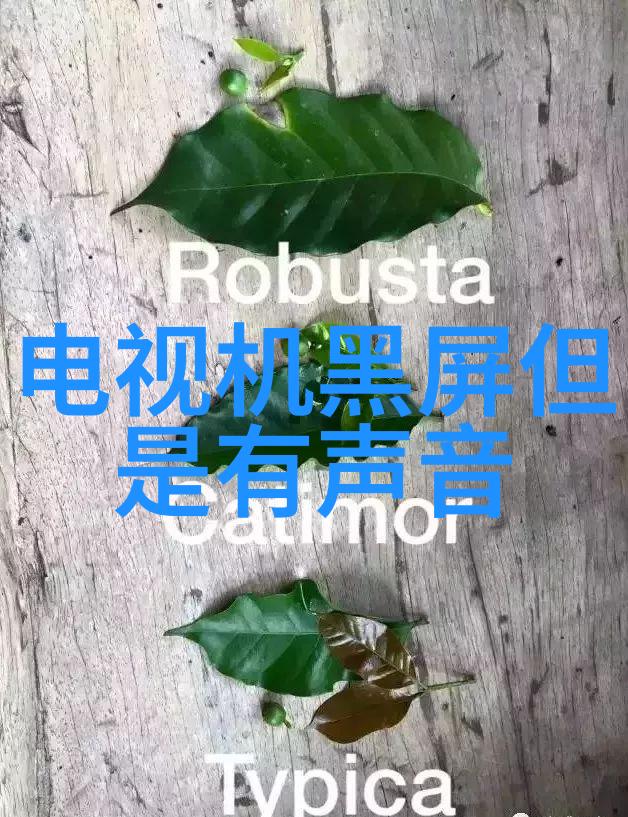 机器人新时代我机器人2的智能进化