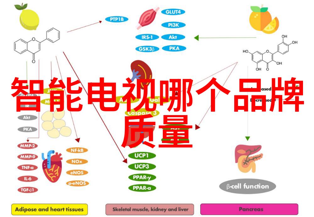 三国梦想小乔蜀汉美女的孤芳自赏