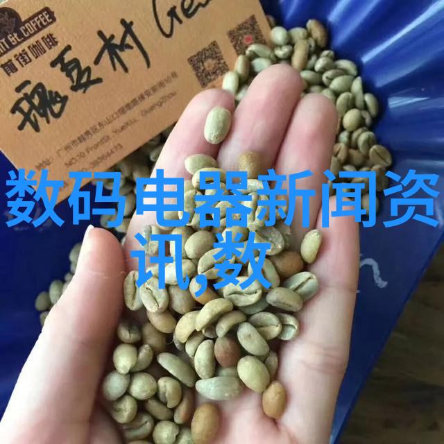 专业摄影器材有哪些SLR相机镜头闪光灯定时器三脚架