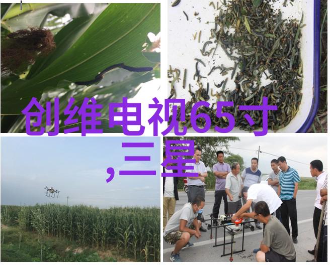 多功能流化床在生物科技领域用于什么样的处理任务