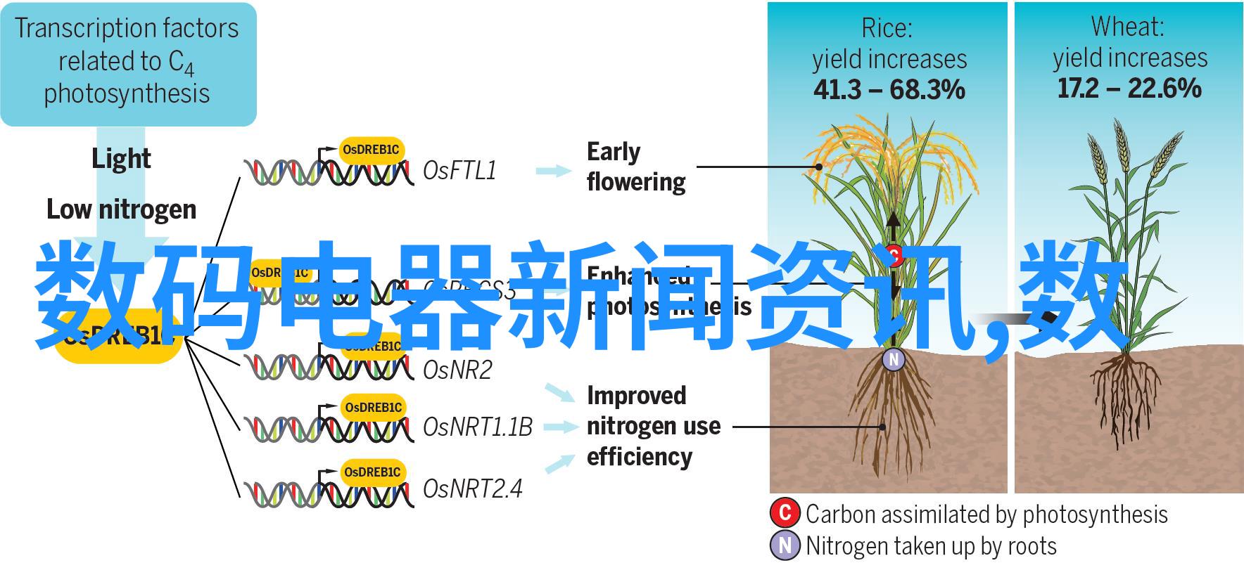 墙隔断用什么材料简单实惠我来告诉你