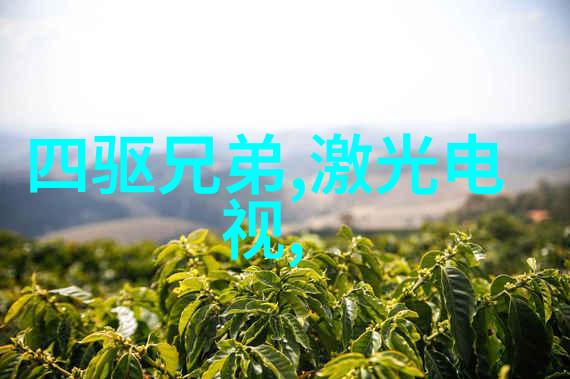 政策制定者应如何平衡推广使用rx1与维护现有基础设施之间的关系