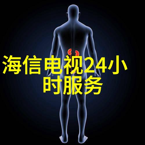 数据驱动深入电机核心解析步进电机的电磁定子与转子构造