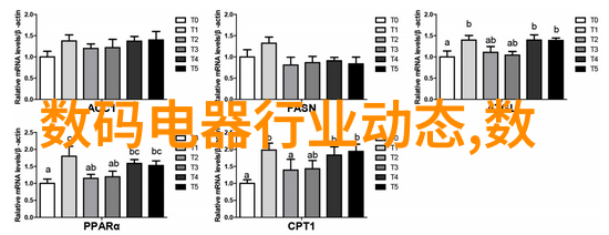 兔宝宝春天的跳跃者