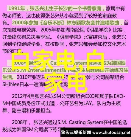 水电改造注意事项有哪些-安全高效的水力发电技术应用指南