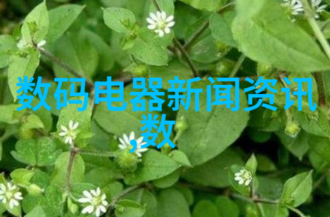 工业标准-丝网波纹填料使用规范与质量控制