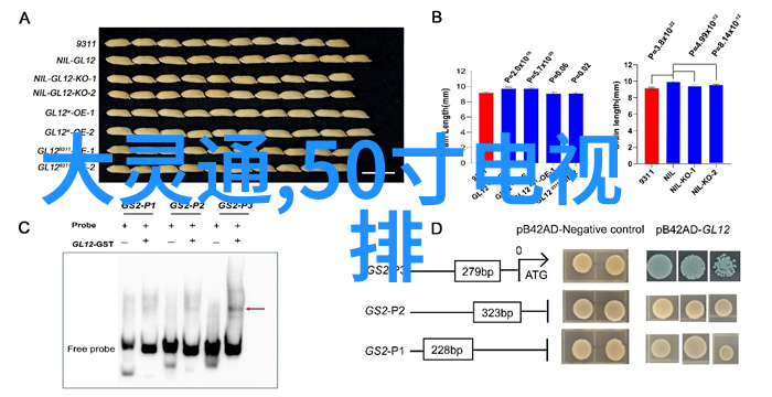 水利水电工程考研学校排名中国知名大学水利工程专业排名