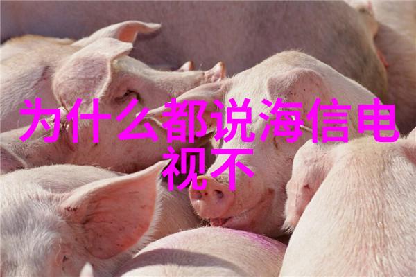 增强塑料多孔组合规整填料搭配不锈钢丝网波纹填料重量适用于自然环境中的应用