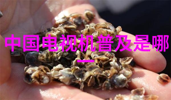 科技与文化-中关村电视对比技术革新与传统文化的碰撞