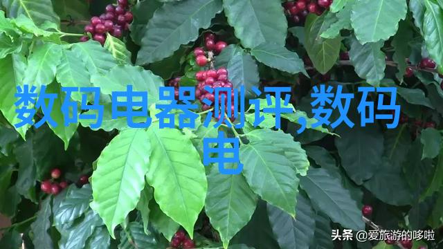 拍照不用飞2023年全国旅游大赛让你的手机也能空中作战