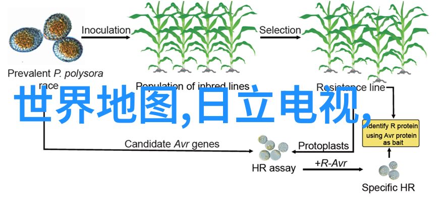 房屋装修设计图从规划到完工的全过程指南