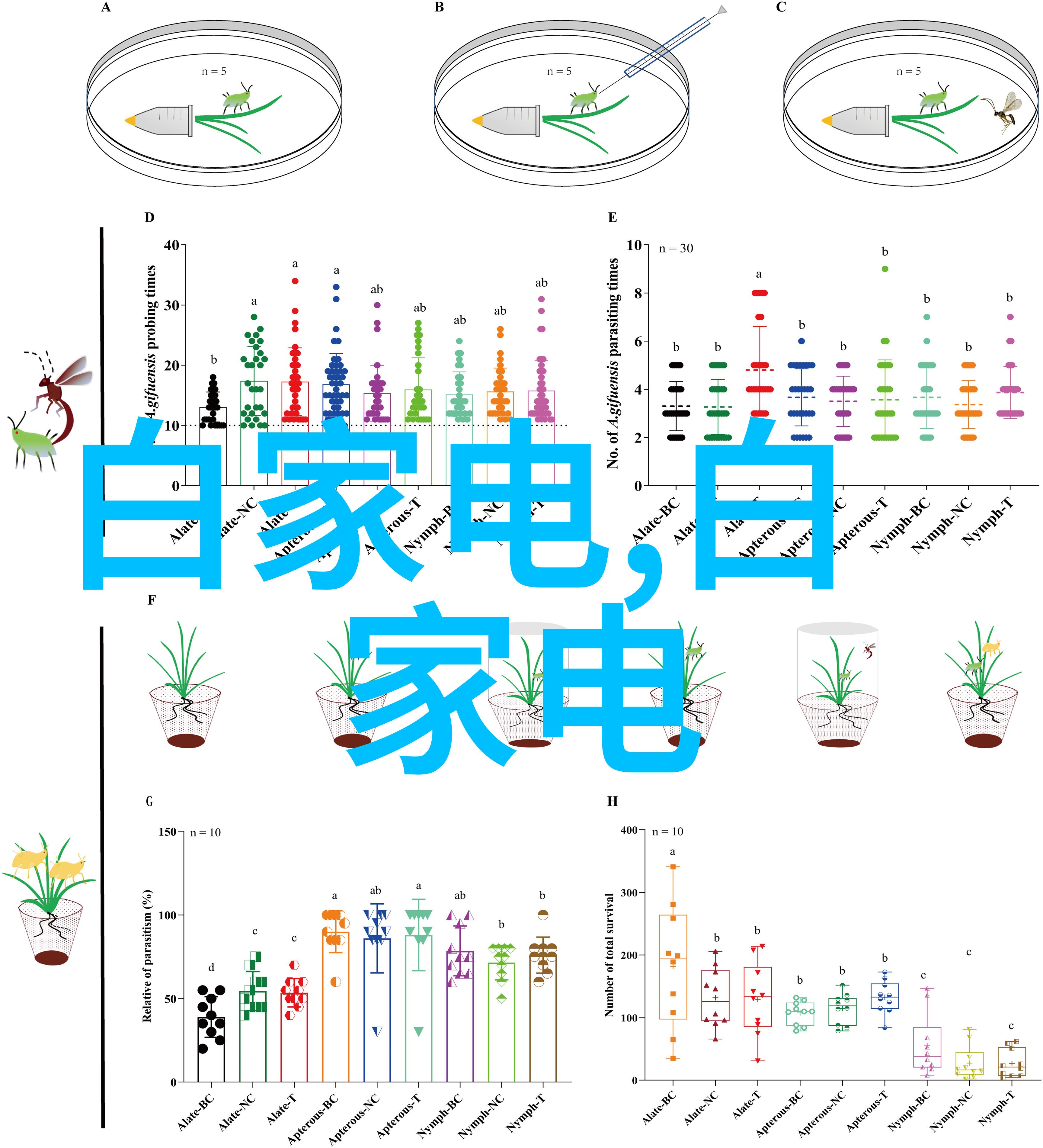 防水膜铺设详解各种防水膜安装方法和注意事项