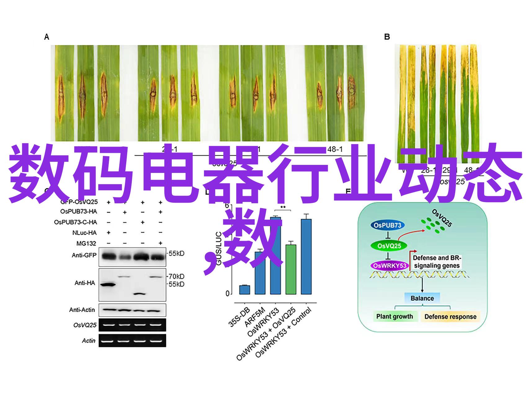 药物副作用与驾驶安全阿司匹林催熟的隐忧