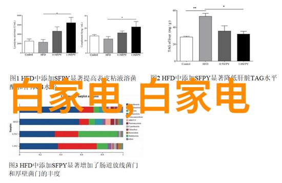 森山大道穿梭于翠绿的长廊