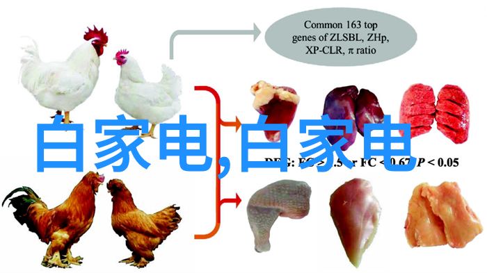 酒店厨房装修效果图我来看看这次的厨房翻新是怎么回事