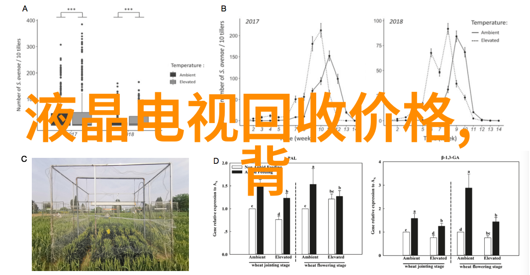 蔡司175周年庆与vivo共话光的艺术未来在5G手机中寻找过往的光芒