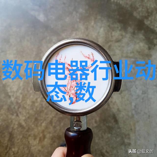 精致居家房屋装修设计图的艺术与实用之美