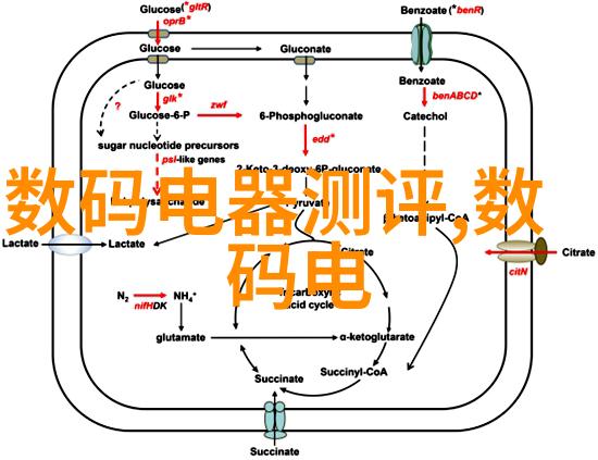 集成灶的致命缺点功能与设计的双重考验