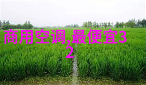 报告的格式及范文200字-精确指南如何撰写高效的200字报告