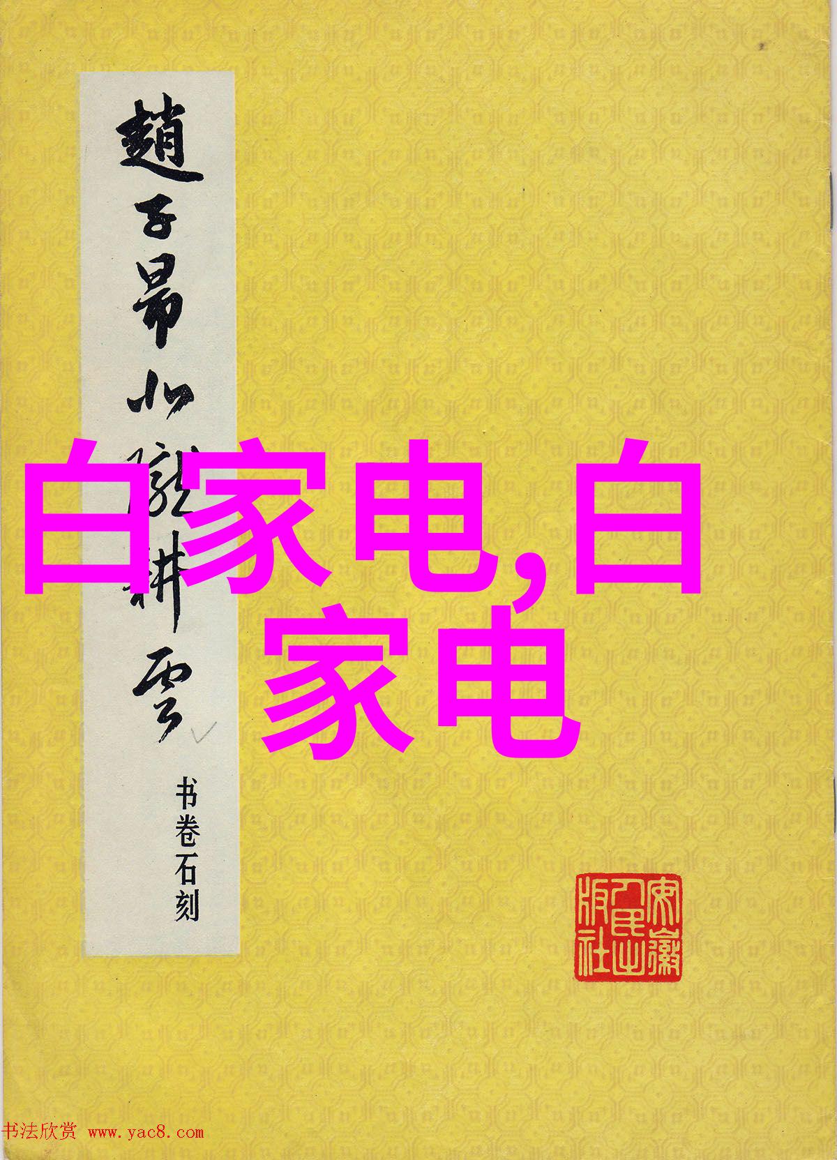 玛格南女神节春拍指南如何在物品中捕捉优雅与美好