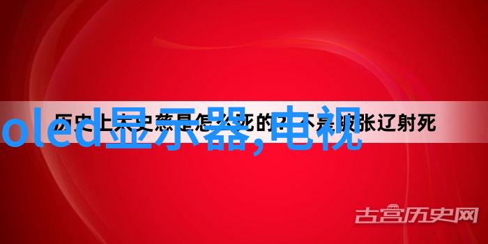 不锈钢输送机高效耐磨的工业物料运输解决方案