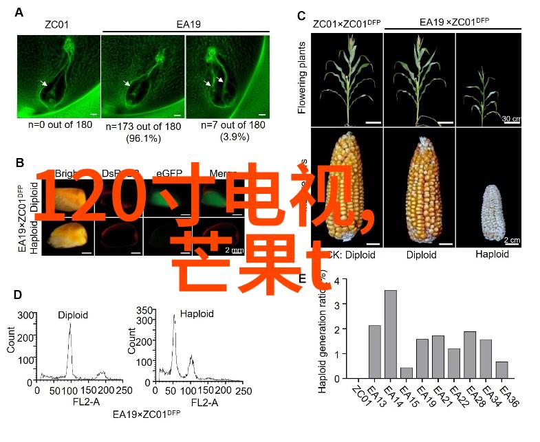 毛坯房装修指南从基础到精致的每一步都要按时完成