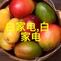 丸剂机械的创新与应用