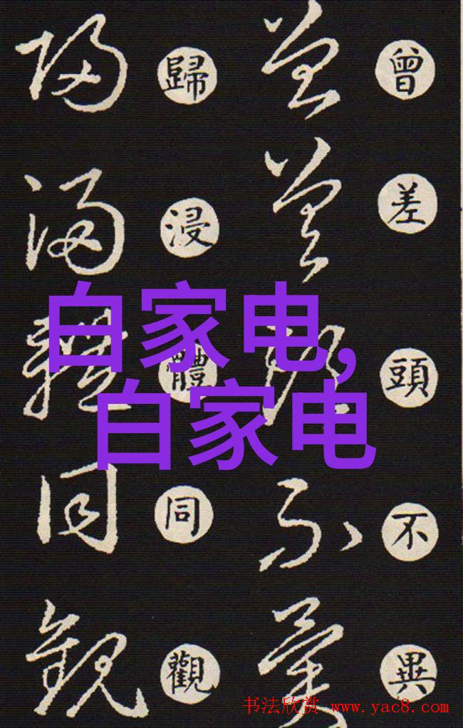 人像摄影教程亲自学会拍出令人惊叹的人物肖像