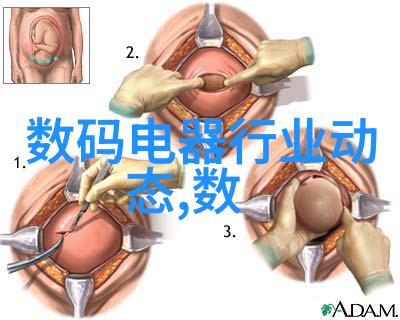 摄影大赛启航捕捉世界之美的旅程