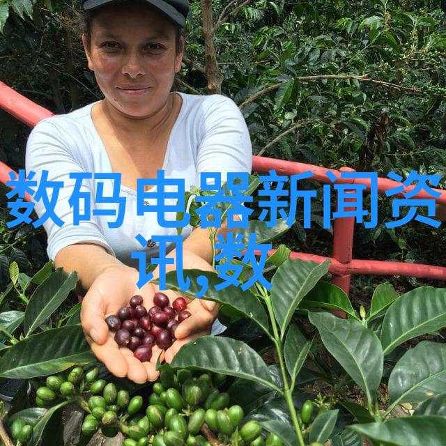 探索上海时尚造型精髓小山蕉工作室与优秀摄影师的艺术对话