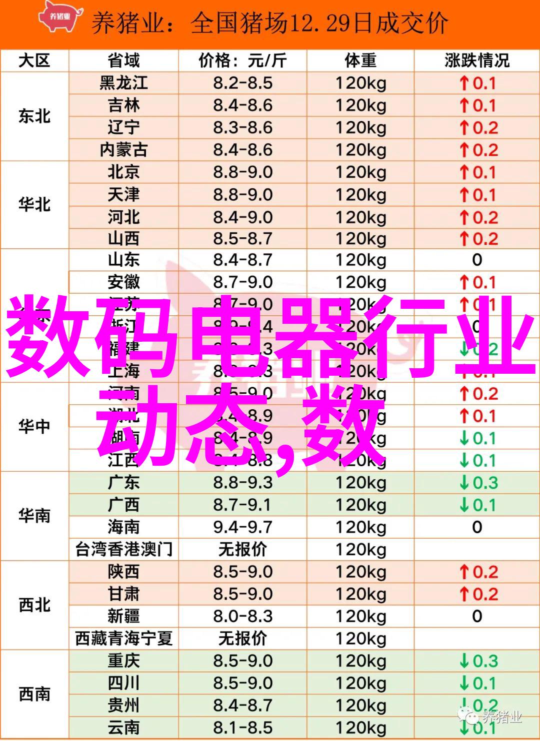 简约风格的小户型房间透出时尚与温馨的和谐