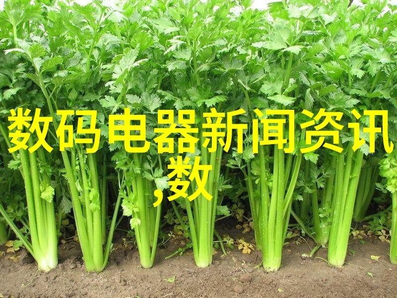 在家里装修时哪些环节容易忽视但非常重要