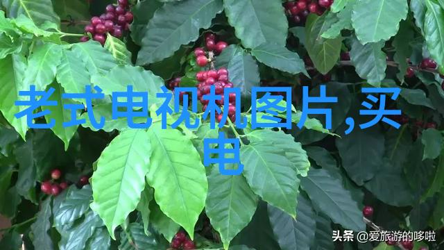 糯米胶甜蜜与苦难的双重奏鸣