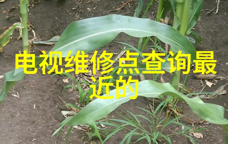 嵌入式系统与软件工程的融合之道