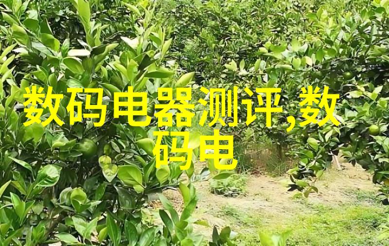 高效热风干燥技术的应用与实践