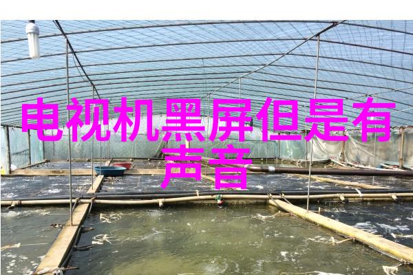 成型制砂机对于提高建筑材料质量有什么贡献