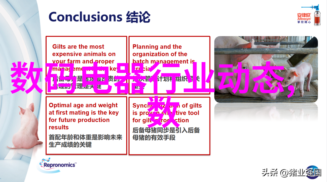 在选择正确型号时用户应该关注什么指标来决定是否下载一个新的测试软件