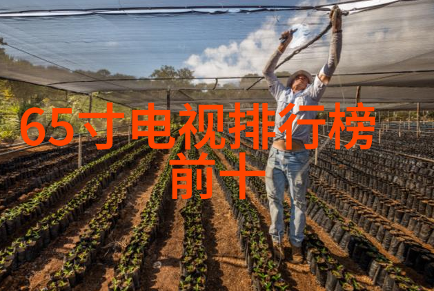 互联网最新资讯我眼中的网络世界快车道隐私小屋和虚拟现实的新篇章