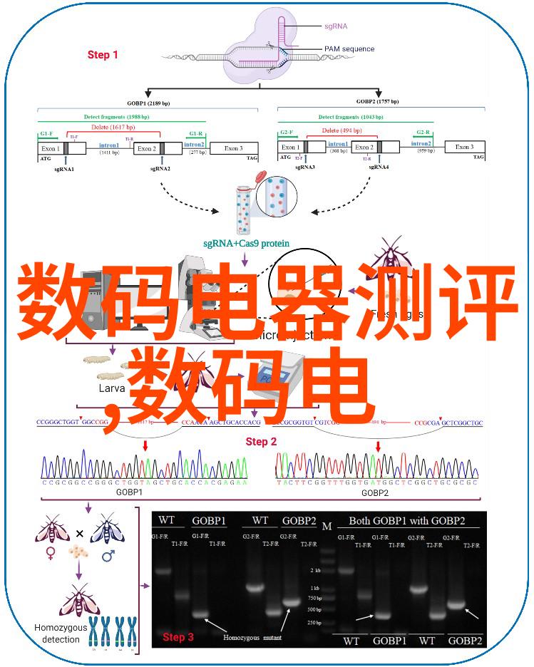 真实情感的编织探索不是机器人韩剧中的电视艺术