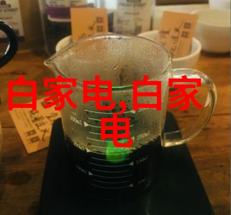 家装项目管理入门揭秘成功案例背后的策略与技巧