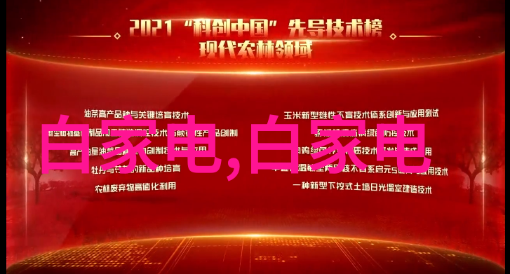 镜头见证揭秘单反相机的入门神器